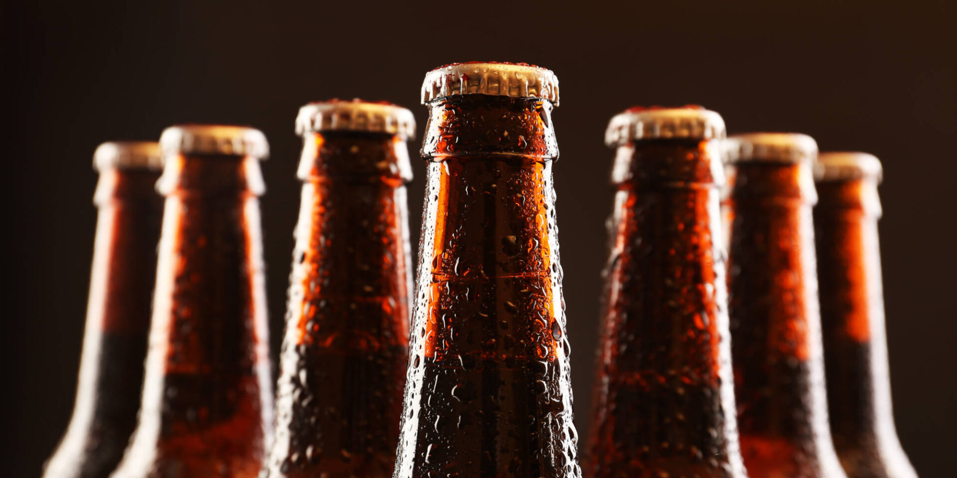Seven beer bottles against a dark background