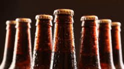 Seven beer bottles against a dark background