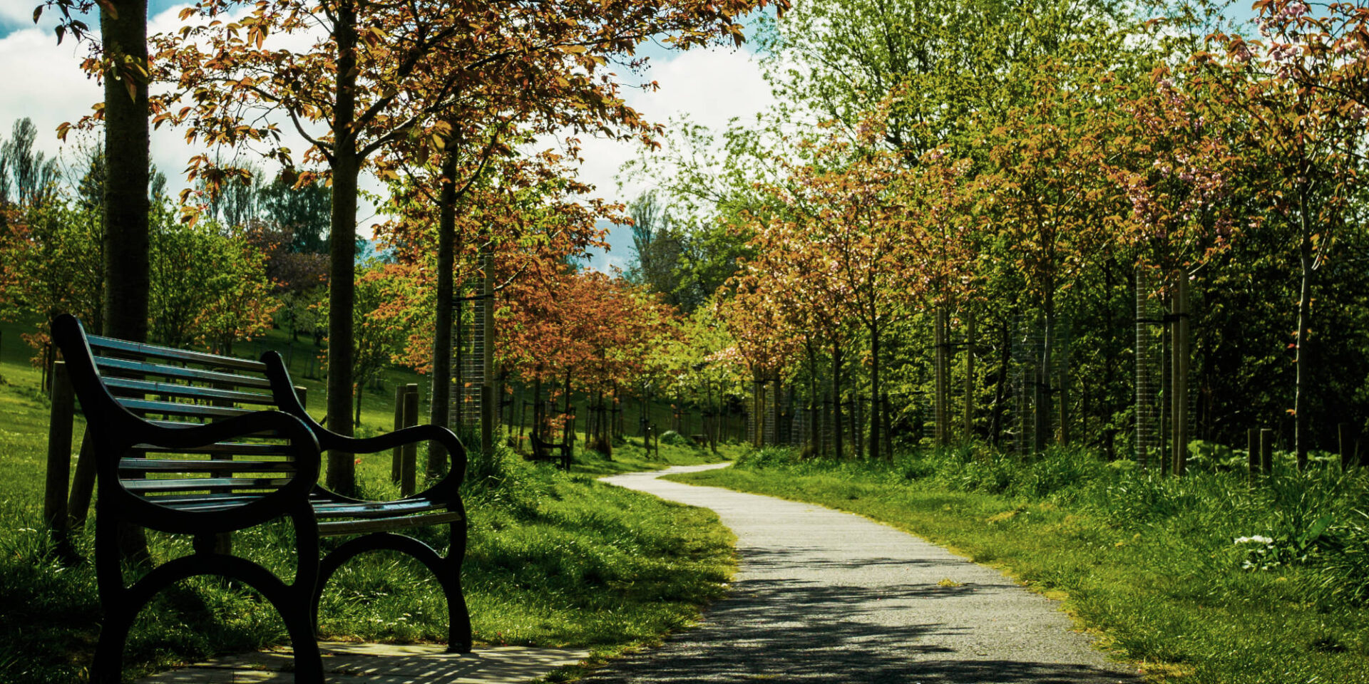 Bench and path in Braidburn Valley Park Edinburgh