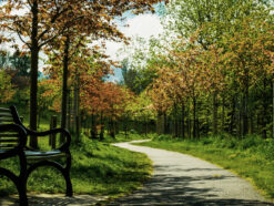 Bench and path in Braidburn Valley Park Edinburgh