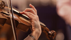 Close up of violinist at a concert