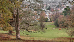 View from Corstorphine Hill in Edinburgh