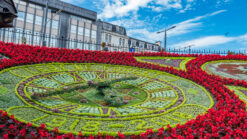 Working clock in Edinburgh designed with thousands of flowers
