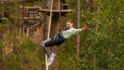 Child on a zip wire through the forest