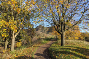 Autumnal trees in Holyrood Park Edinburgh