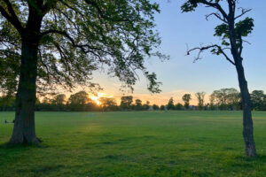 Inverleith Park in Edinburgh at sunset