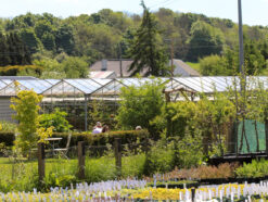 View of the Secret Herb Garden in Edinburgh